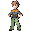 FireRed · LeafGreen