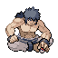 FireRed · LeafGreen