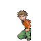 HeartGold · SoulSilver