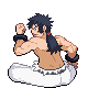 HeartGold · SoulSilver