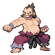 HeartGold · SoulSilver