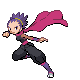 HeartGold · SoulSilver