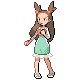 HeartGold · SoulSilver