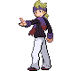 HeartGold · SoulSilver